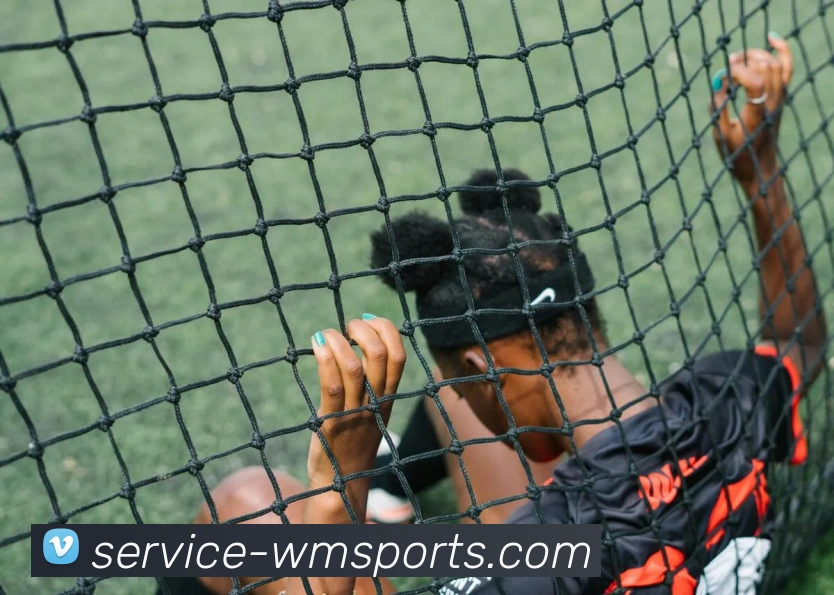 完美体育官网发展历程